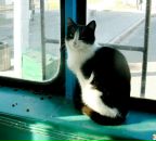 Фотография Гусарова Дима