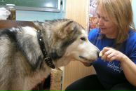 Фотография Егоровой Марии