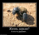 Віктор Патрашко фотография #16 (источник - https://vk.com/id103260544)