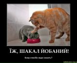 Віталій Дорошенко фотография #48 (источник - https://vk.com/id16754375)