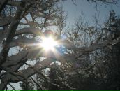 Иван Никулин фотография #26 (источник - https://vk.com/id755602)