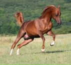 Фотография Дорохиной Екатерины