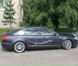 Фотография Дворникова Александра